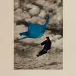 Collection Tubarões Voadores -Flying Sharks