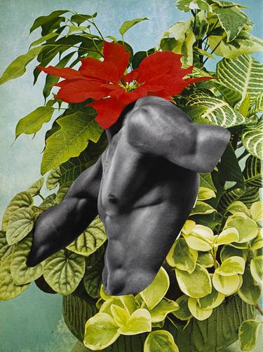 Print of Dada Floral Collage by Silvio Severino