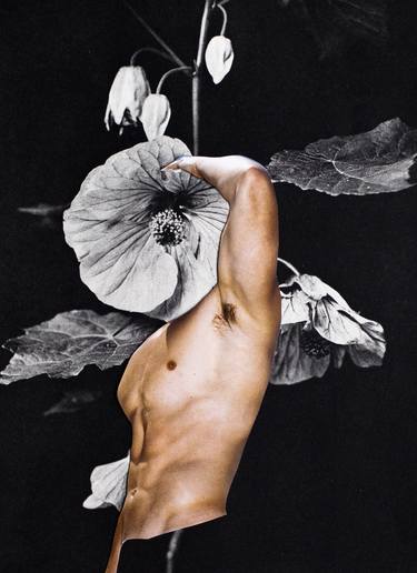 Original Surrealism Floral Collage by Silvio Severino