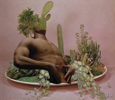 Original Dada Body Collage by Silvio Severino