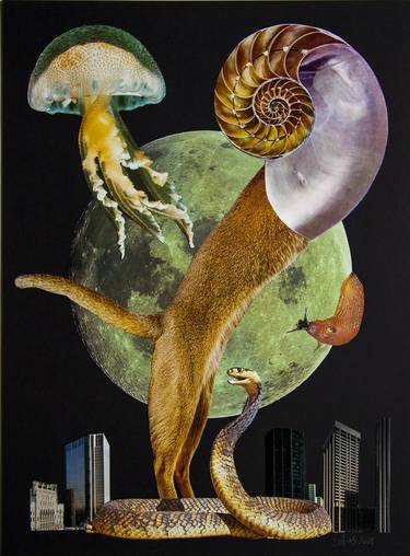 Print of Animal Collage by Silvio Severino