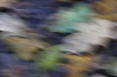 Print of Abstract Nature Photography by Phil Gough