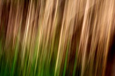 Original Abstract Nature Photography by Phil Gough