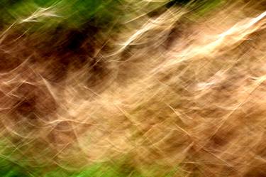 Original Abstract Nature Photography by Phil Gough