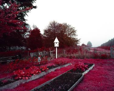 Dovecote (2010). From The Unseen: An Atlas of Infrared Plates - Limited Edition 1 of 12 thumb