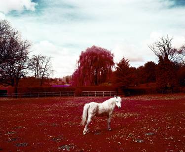 Between Greystones and Rose Court (Pony). 2011. From The Village series. - Limited Edition 3 of 12 thumb