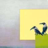 Two Hooded Crows by Jasper Oostland