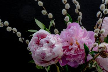 Peonies and Pussy Willow thumb