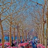 Collection Americana - 