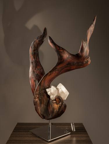 Original Nature Sculpture by Dorit Schwartz