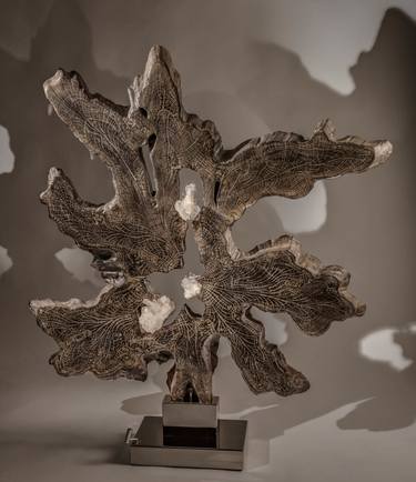 Original Abstract Nature Sculpture by Dorit Schwartz