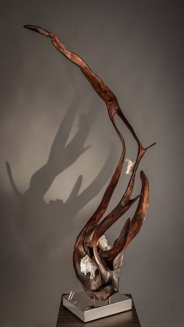 Original Nature Sculpture by Dorit Schwartz