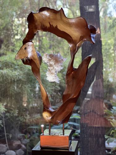 Original Abstract Nature Sculpture by Dorit Schwartz