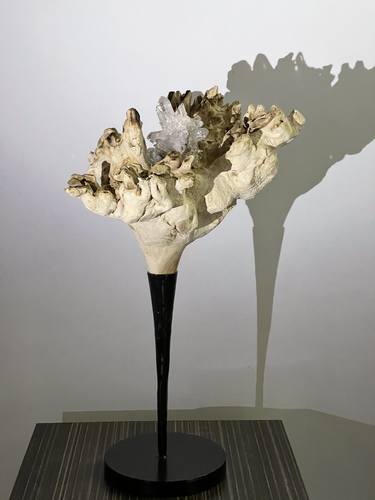Original Abstract Nature Sculpture by Dorit Schwartz