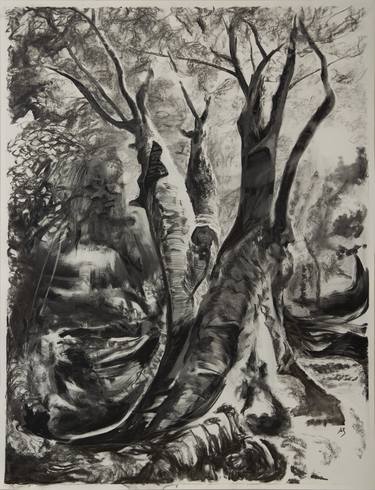 Large Tree (study) thumb