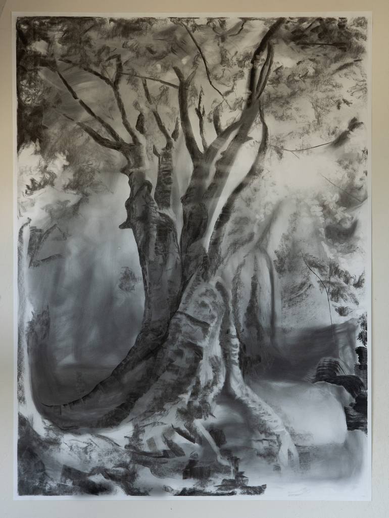 Original Contemporary Tree Drawing by Axel Saffran