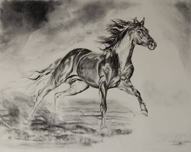 Original Figurative Horse Drawings by Axel Saffran