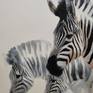 three Zebras