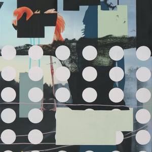 Paintings that look like collages