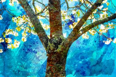 Print of Impressionism Garden Photography by Robert Taylor