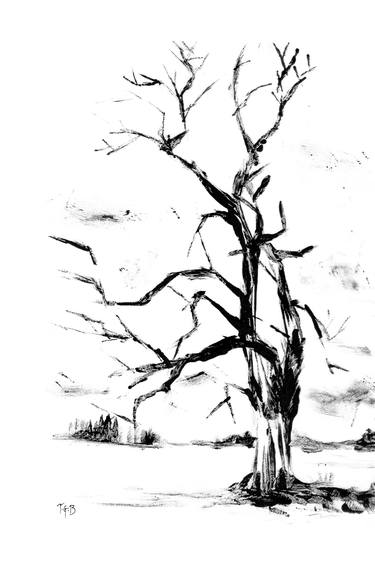 Original Tree Printmaking by Anthony Greentree