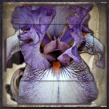 Print of Art Deco Floral Photography by aGeekonaBike Photography