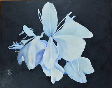 Original Floral Paintings by jenny bennett