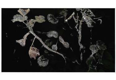 Nocturnal flower no.2 (small) - Limited Edition 3 of 10 thumb
