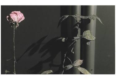 Nocturnal flower no.4 (small) - Limited Edition of 10 thumb