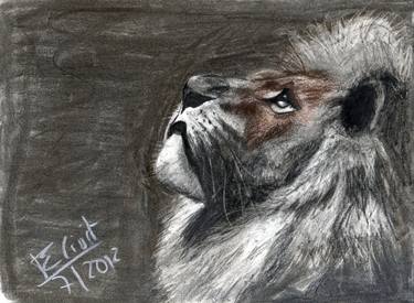 Print of Realism Animal Drawings by Eduard Civit