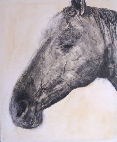 Original Figurative Horse Drawings by Heather Gordon