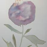Watercolor Flower 2 by Megan Jefferson
