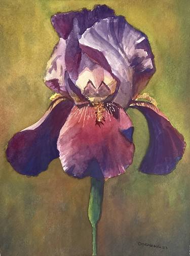 Purple Iris thumb