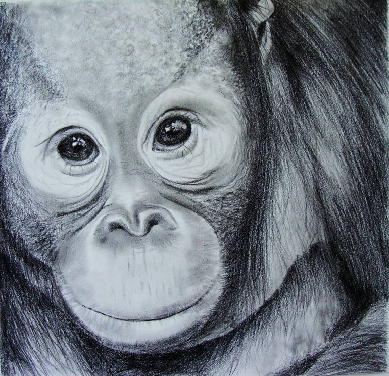 Monkey Drawing by Jennifer Doehring | Saatchi Art