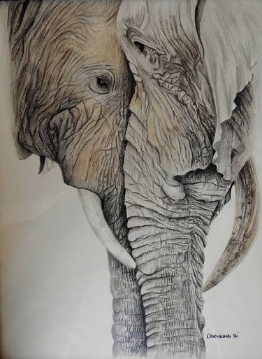 Original Animal Drawings by Jennifer Doehring
