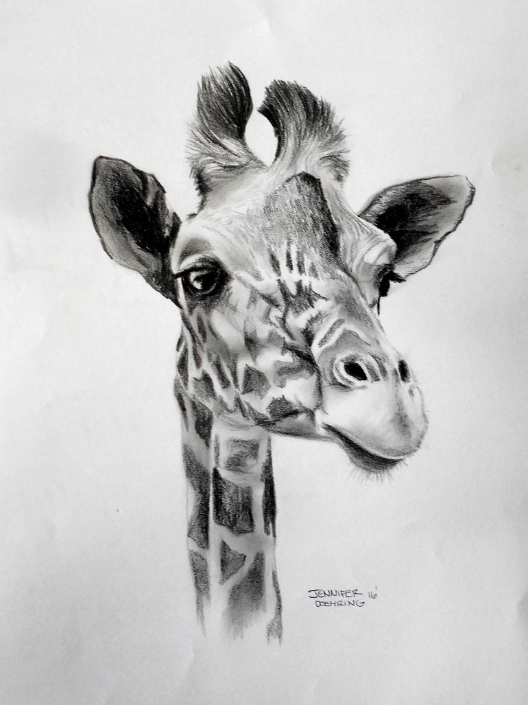 Giraffe sketch png images | PNGWing-anthinhphatland.vn