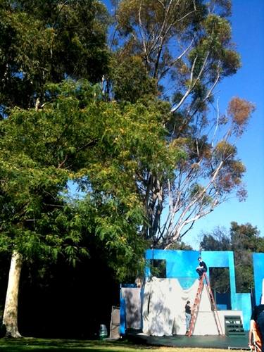 A Tree Grows In Los Angeles thumb