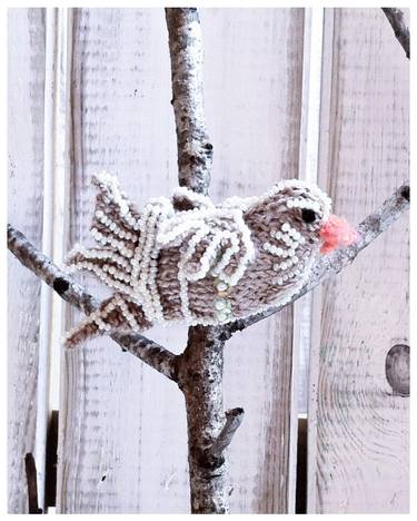 Cupid's-arrow Sparrow image
