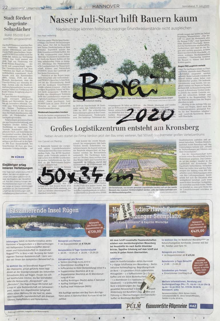 Original Abstract Expressionism Botanic Painting by Ahmed Borai