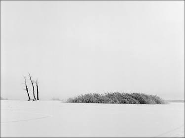 Print of Documentary Nature Photography by Janis Katlaps