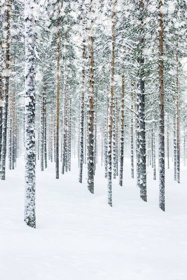 Original Landscape Photography by Andrew Bret Wallis