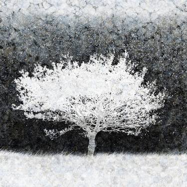 Snow Tree - Ltd Edition of only 20 thumb