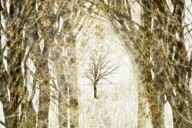 Original Impressionism Tree Mixed Media by Andrew Bret Wallis