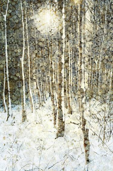 Original Impressionism Nature Mixed Media by Andrew Bret Wallis