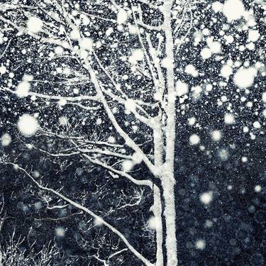 Snow At Midnight (Ltd Edition of only 20 Fine Art Giclee prints from original artwork) thumb