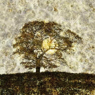 Print of Landscape Mixed Media by Andrew Bret Wallis