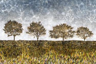 Original Fine Art Nature Mixed Media by Andrew Bret Wallis