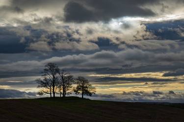 Print of Fine Art Landscape Photography by Andrew Bret Wallis