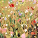 SUMMER FIELD by Sabino Caputo