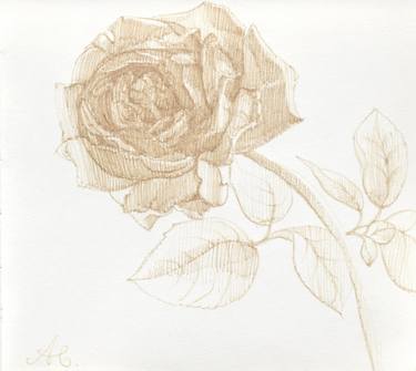 Original Realism Botanic Drawings by Victoria Alferonok